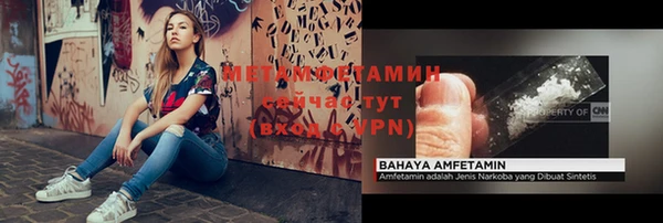 шишки Лабытнанги