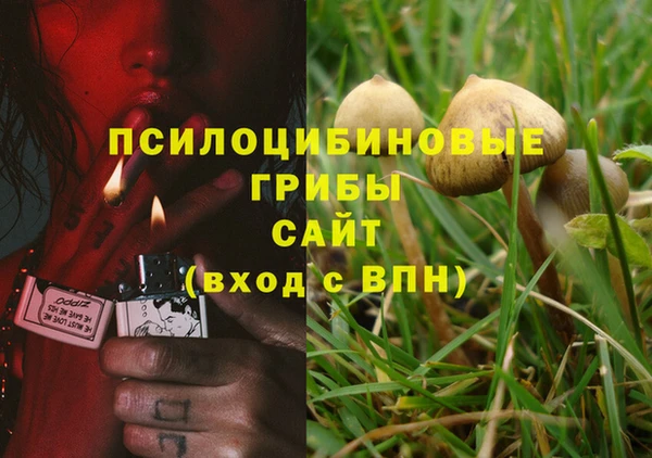 амф Кулебаки