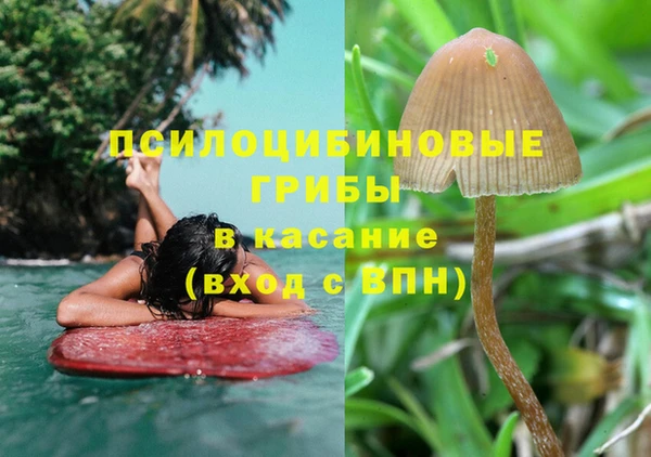 2c-b Куйбышев