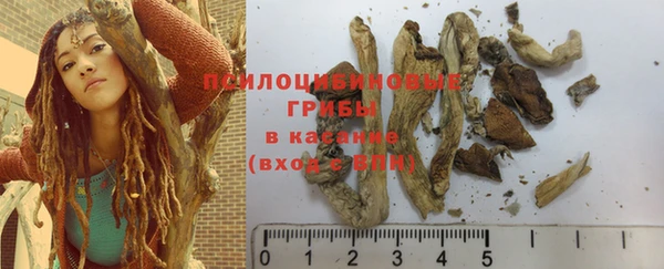 бошки Кукмор