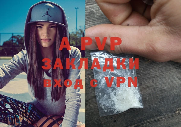 шишки Лабытнанги