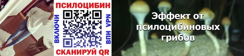 наркошоп  Хвалынск  Галлюциногенные грибы Cubensis 